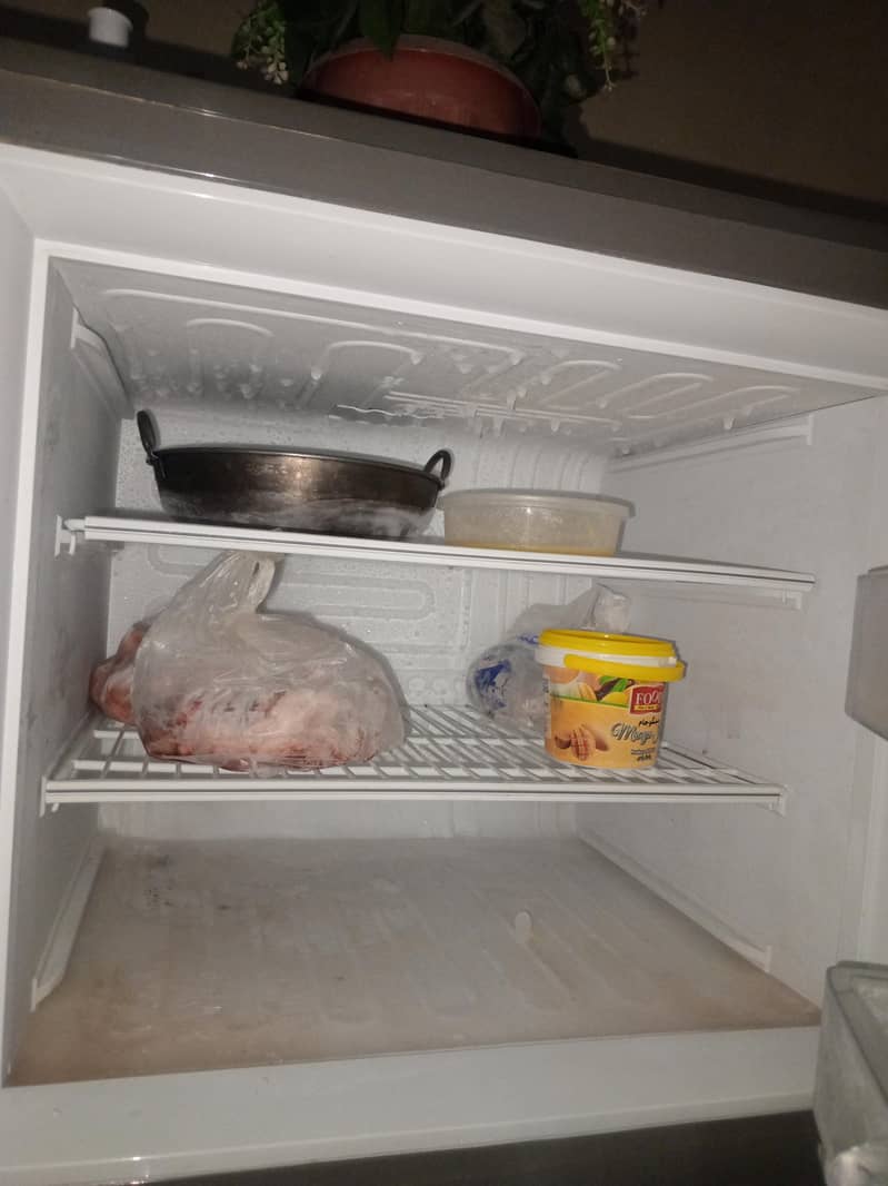 pel fridge 2