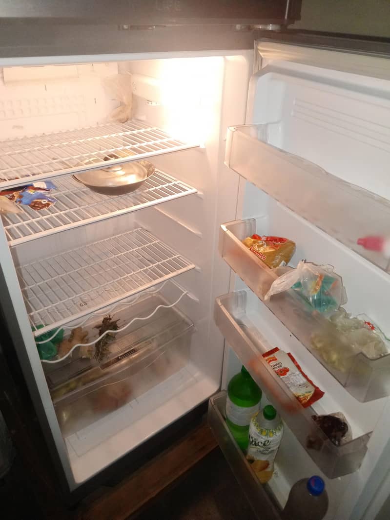 pel fridge 3