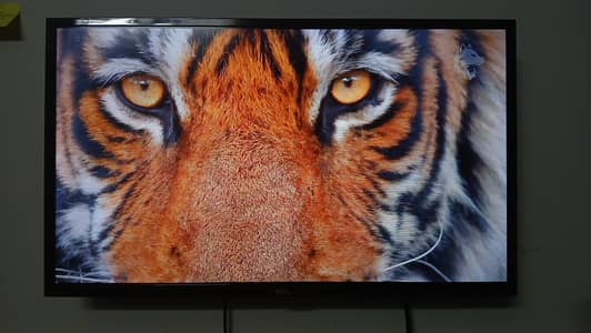 TCL LED TV – Non-Smart | Excellent Condition | Original Remote