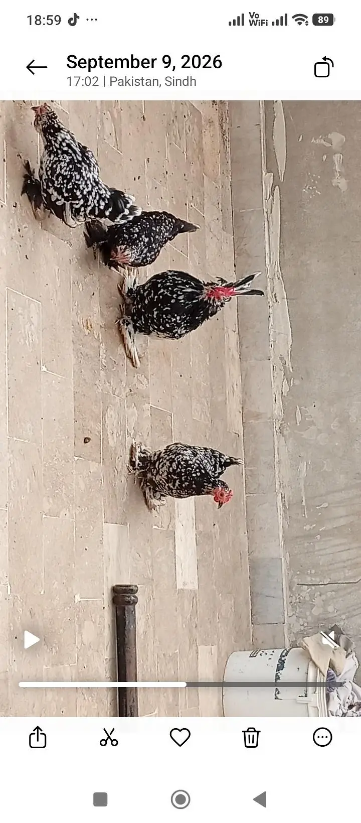 polish and Mili flower hens (03061340234) — photo 7