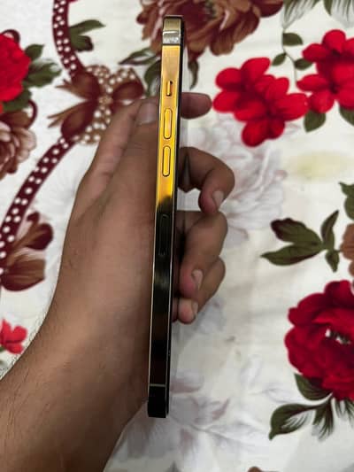 Apple iPhone 12 Pro Max - PTA Approved