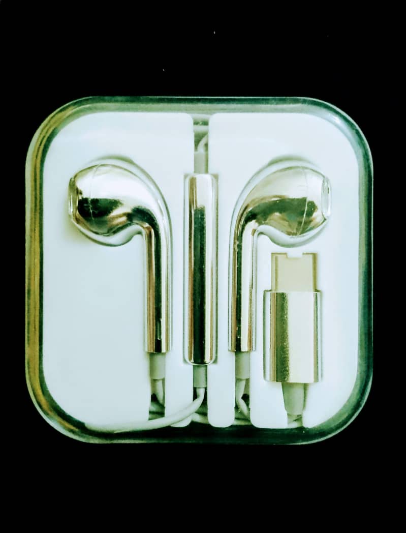Chrome Wired Earbuds 1