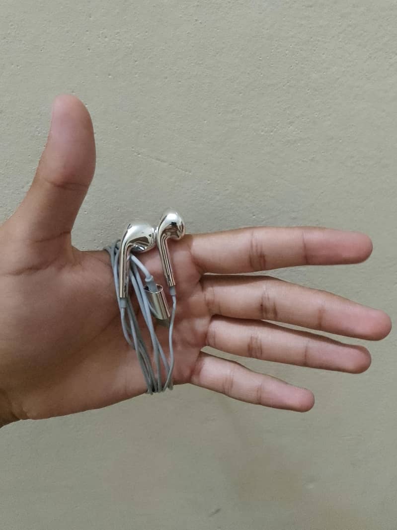 Chrome Wired Earbuds 3