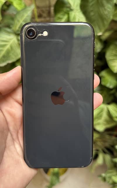 Apple iPhone SE PTA approved
