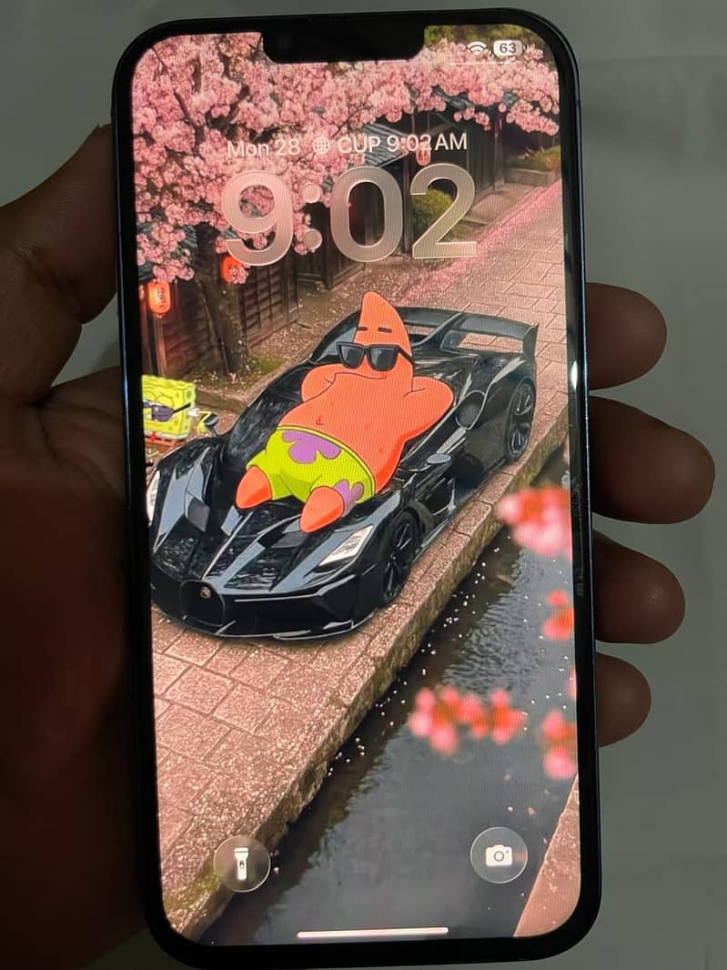 Apple iPhone 13 Pro Max 4