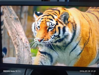 ViewSonic VG2239SMH 22" LED Monitor — For Sale/Negotiable/Need Urgent