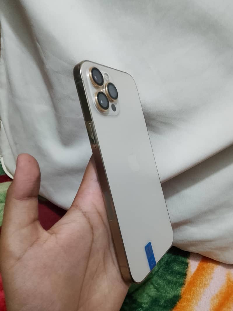 Apple iPhone 12 Pro Max 0