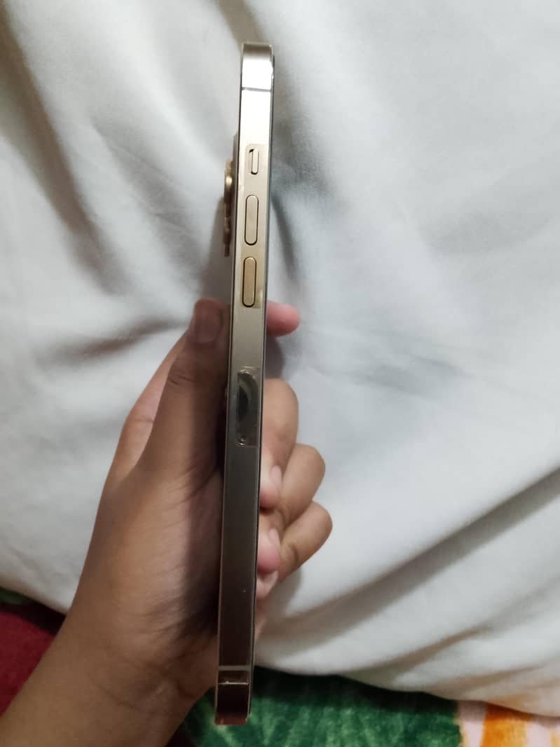 Apple iPhone 12 Pro Max 3