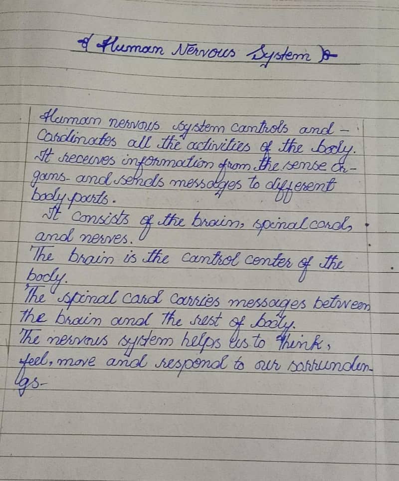 AIOU spring assignment 0