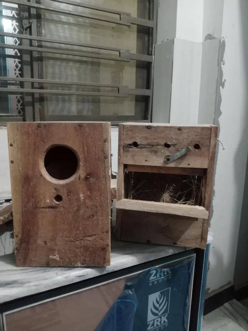breeding box for lovebirds — photo 2