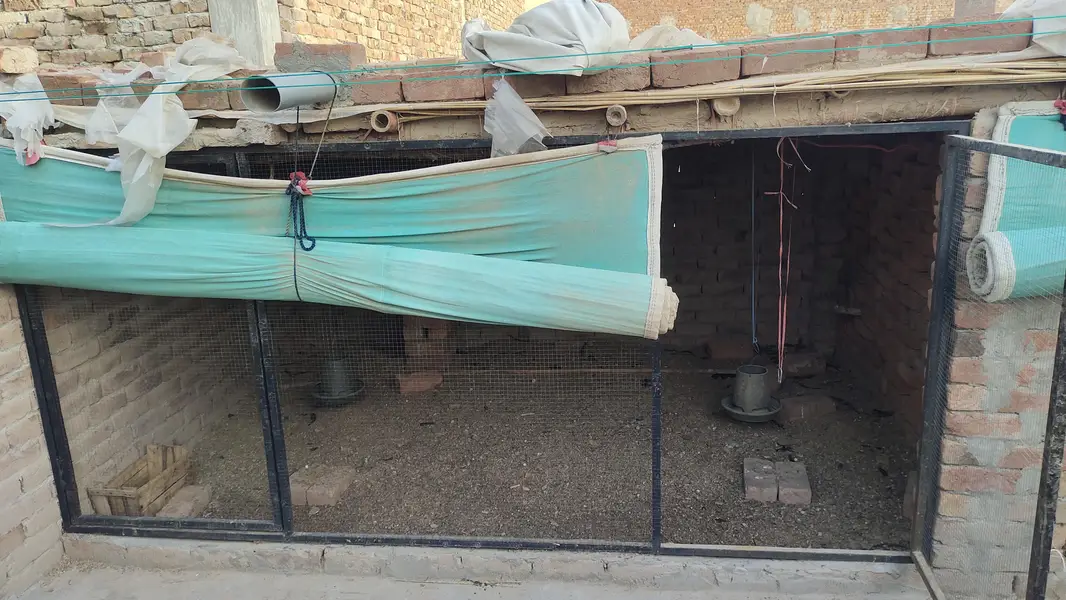 Murgi aur Janwaro ka Bara Pinjra 22x5 Feet - Chatt aur Tirpal k Sath — photo 6