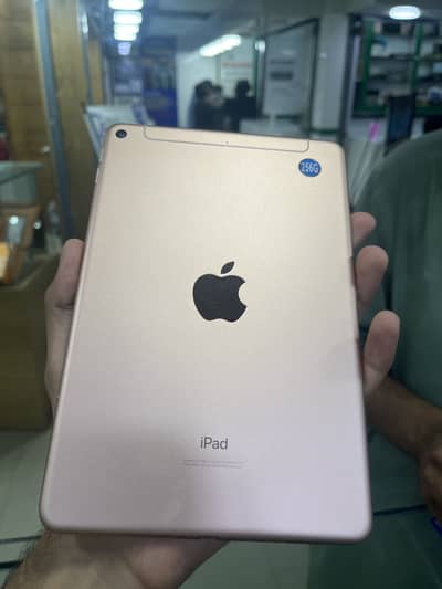 Apple IPad mini 5  factory unlock