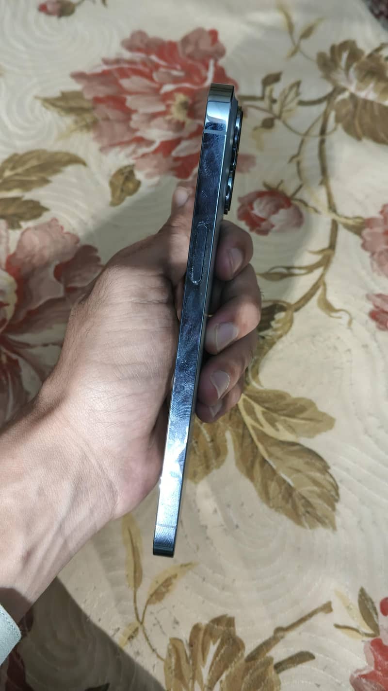 Apple iPhone 13 Pro Max 1