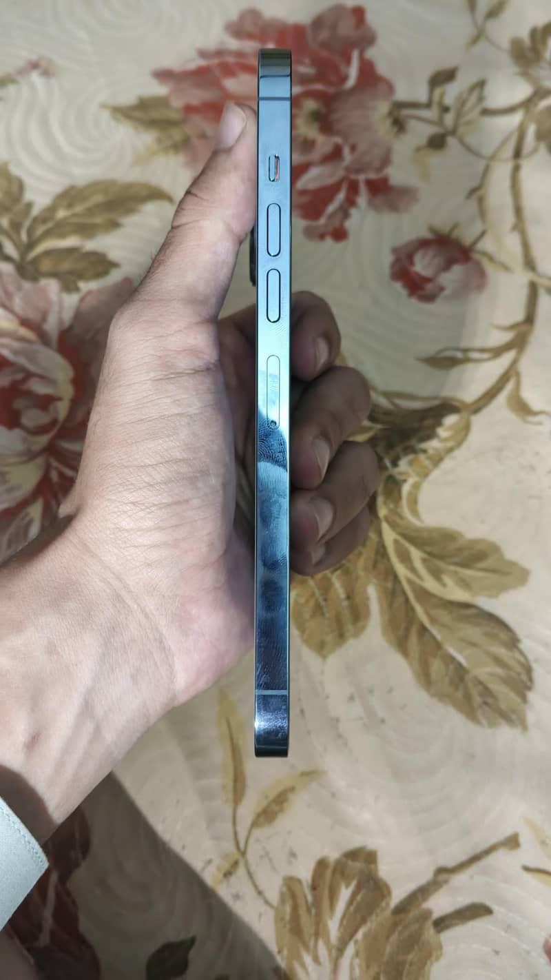 Apple iPhone 13 Pro Max 2