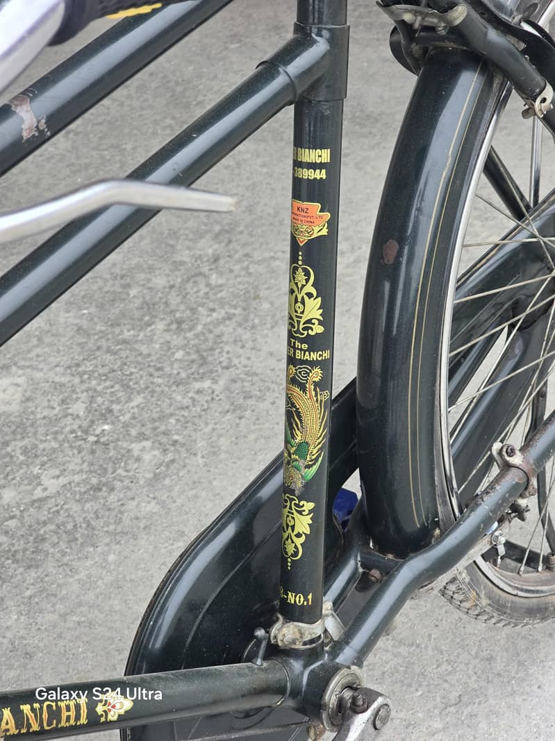 super bainchi cycle medium size 1