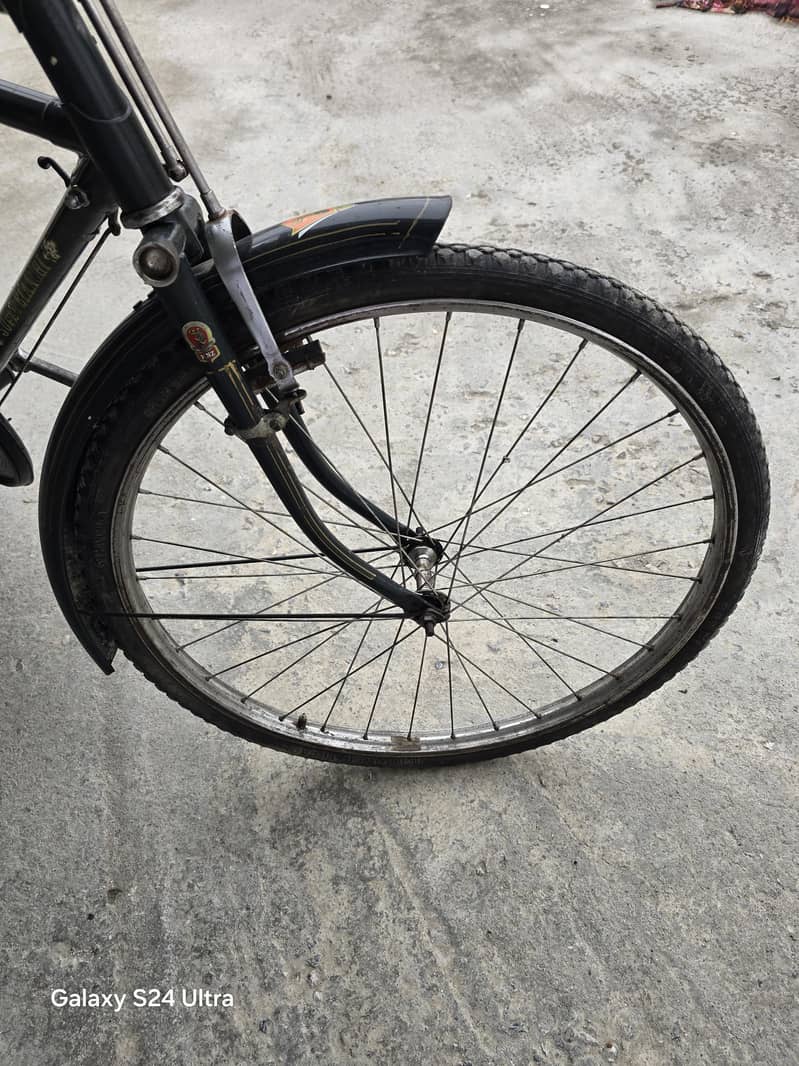 super bainchi cycle medium size 6