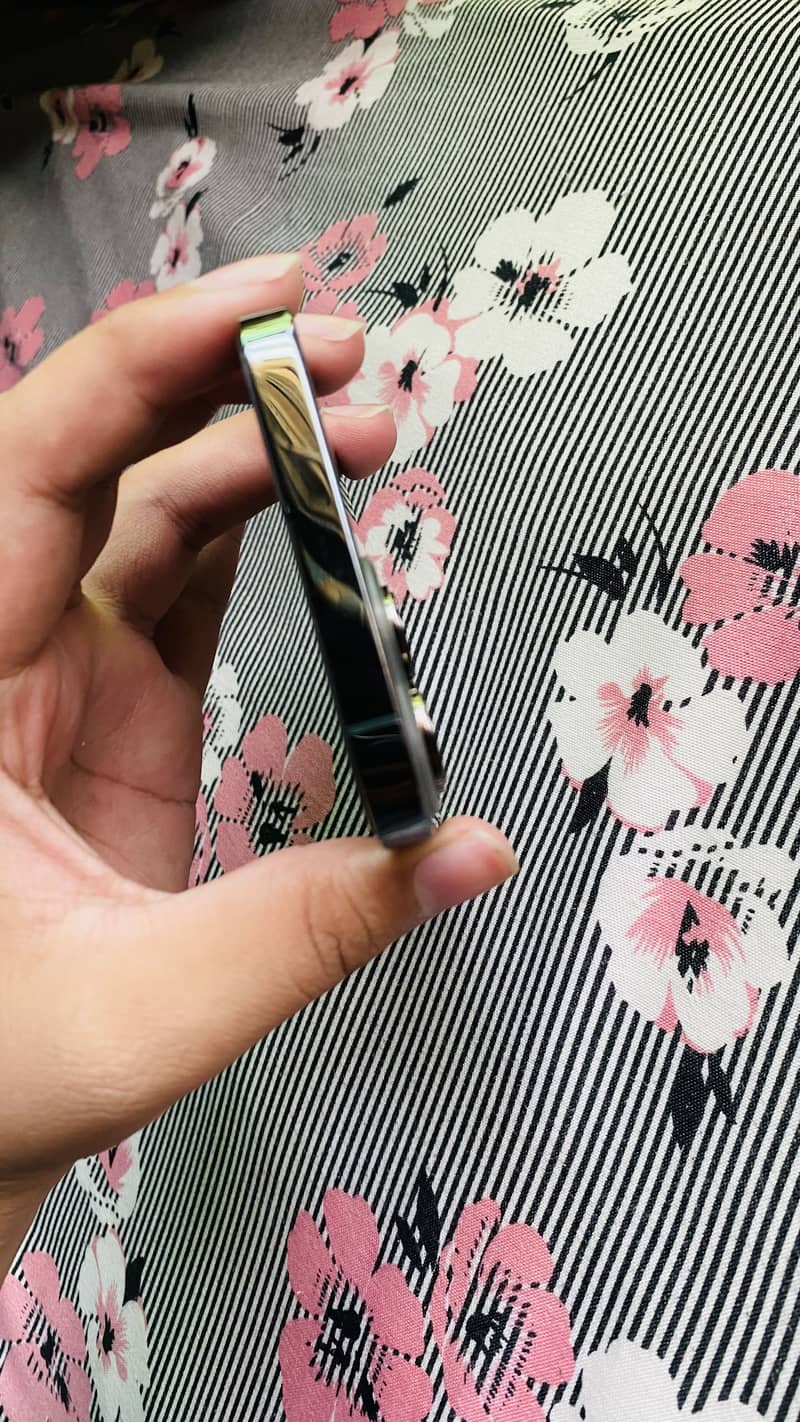Apple iPhone 13 Pro Max 1