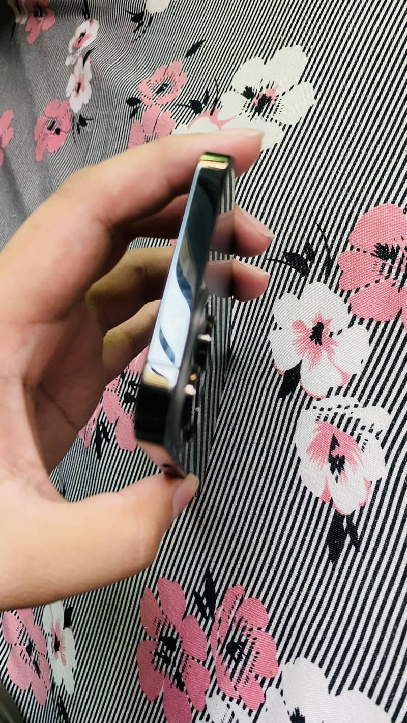 Apple iPhone 13 Pro Max 2