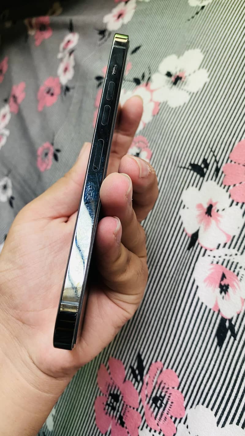 Apple iPhone 13 Pro Max 3