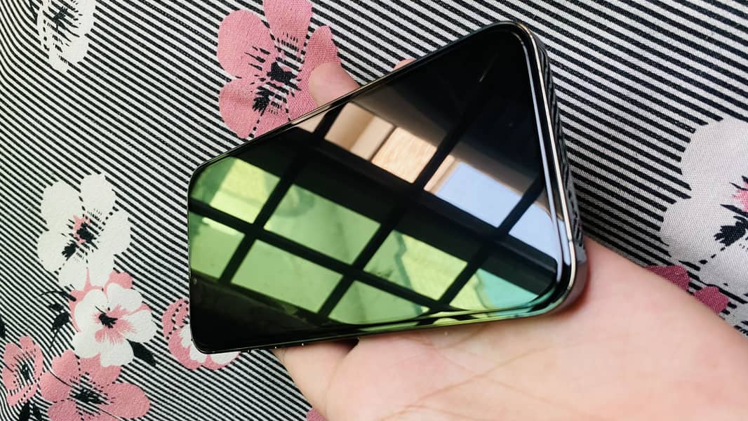 Apple iPhone 13 Pro Max 4