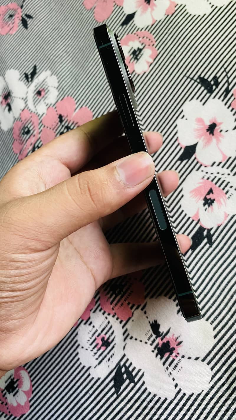 Apple iPhone 13 Pro Max 7