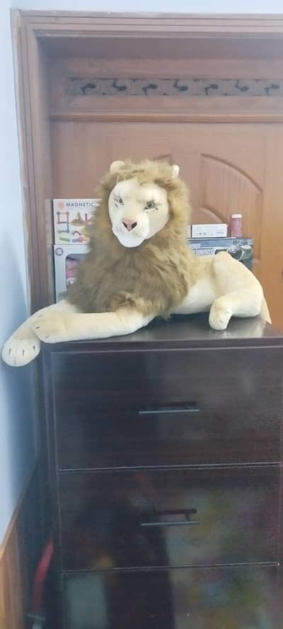Lion Sher