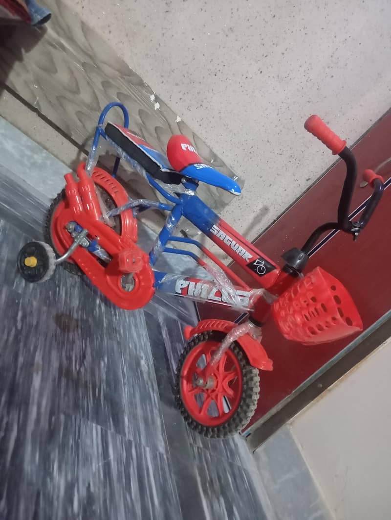 bicycle 0