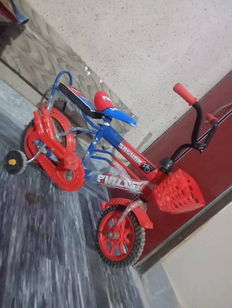 bicycle 2