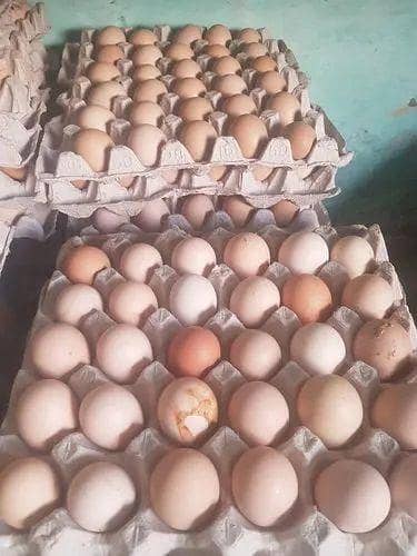 Desi eggs available 1