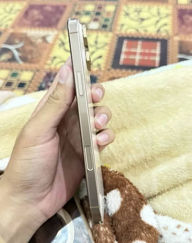 Apple iPhone 16 Pro Max 1