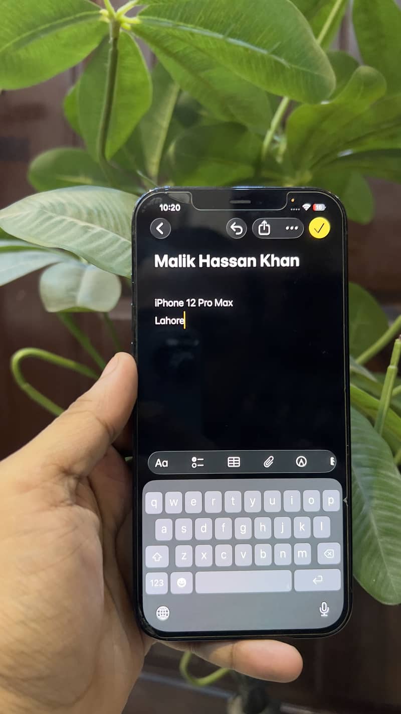 Apple iPhone 12 Pro Max 6