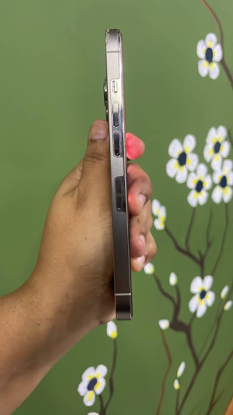 Apple iPhone 13 Pro 1