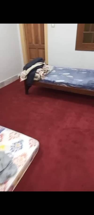 Maroon Carpet for 3-Marla House – Very Good Condition – 6 Months Used