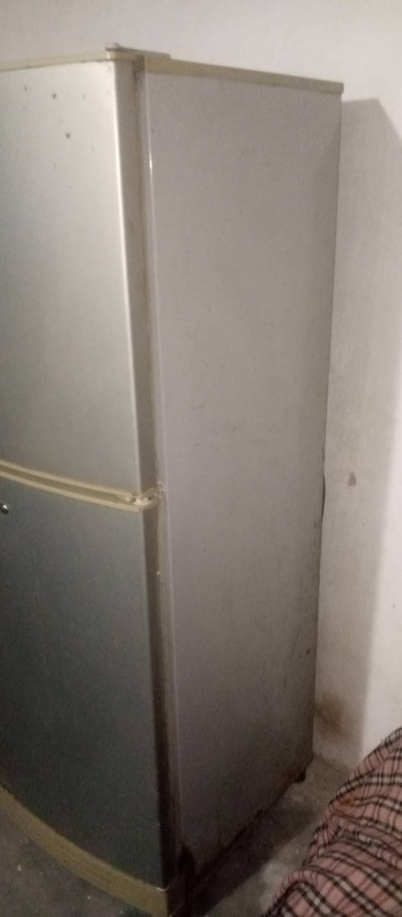 Fridge 3