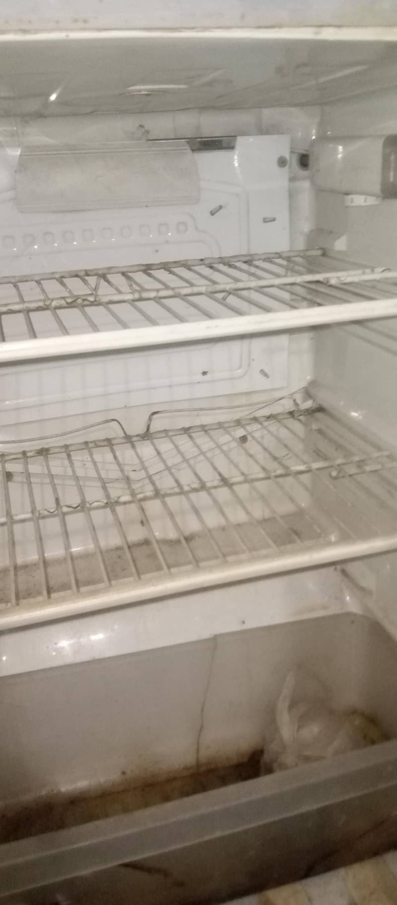 Fridge 4