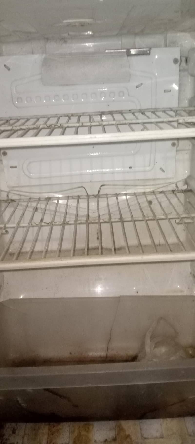 Fridge 5