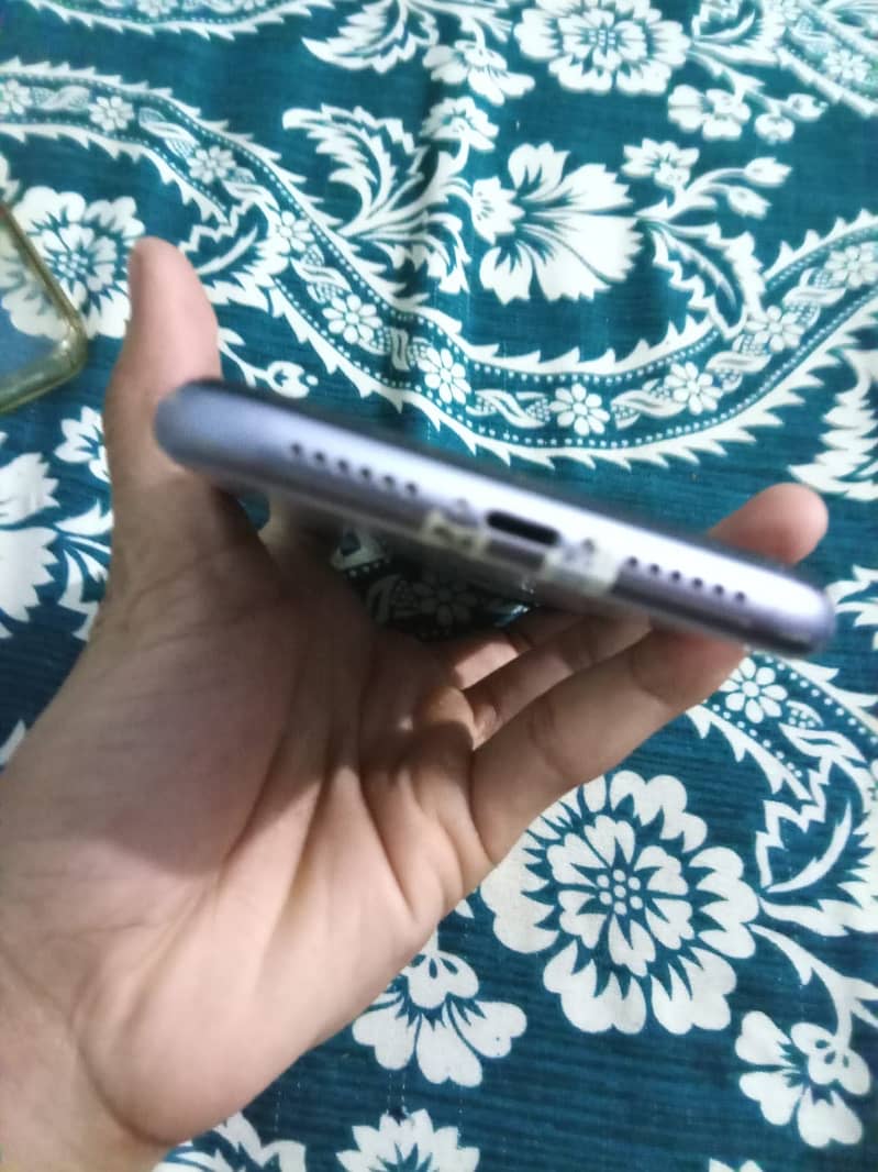 Apple iPhone 11 1