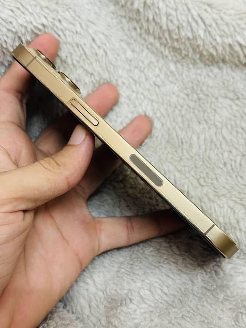 Apple iPhone 13 Pro 1