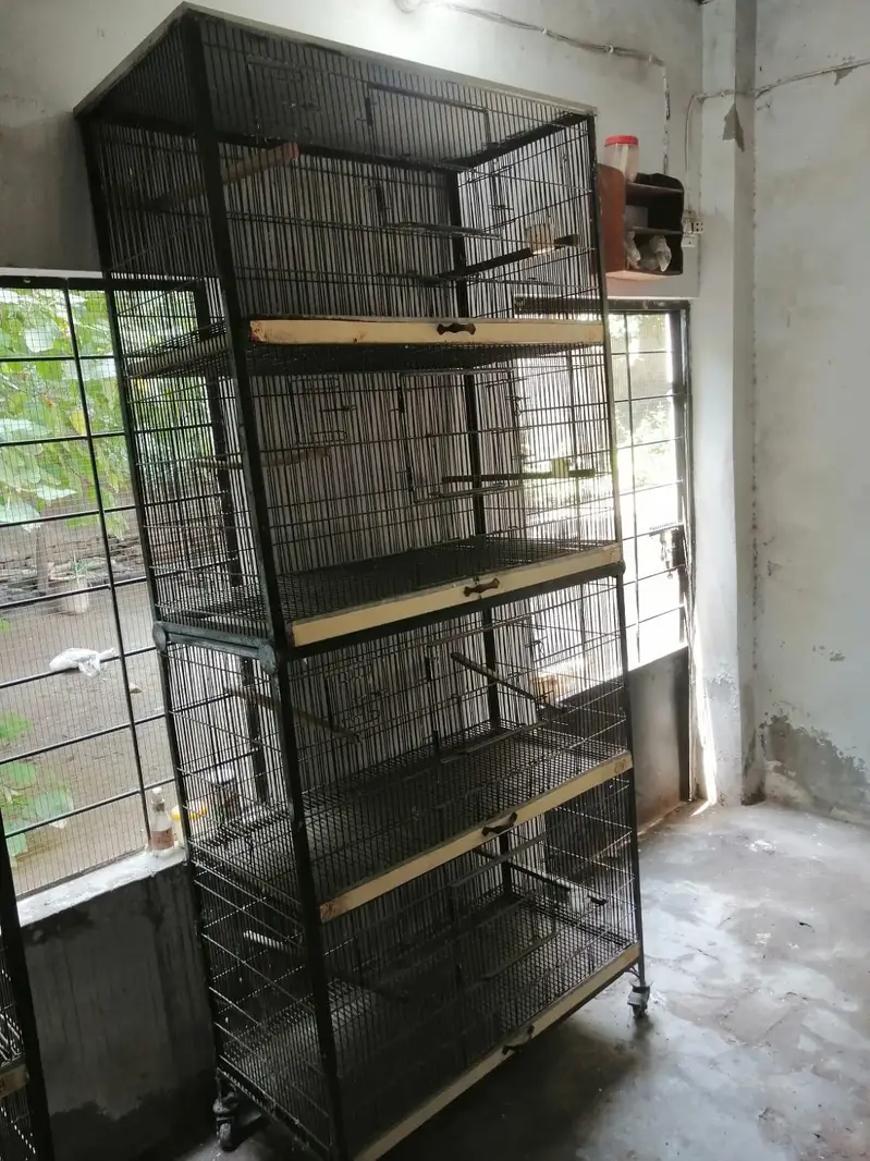 cage for sale.      contact : 03228038069 — photo 2