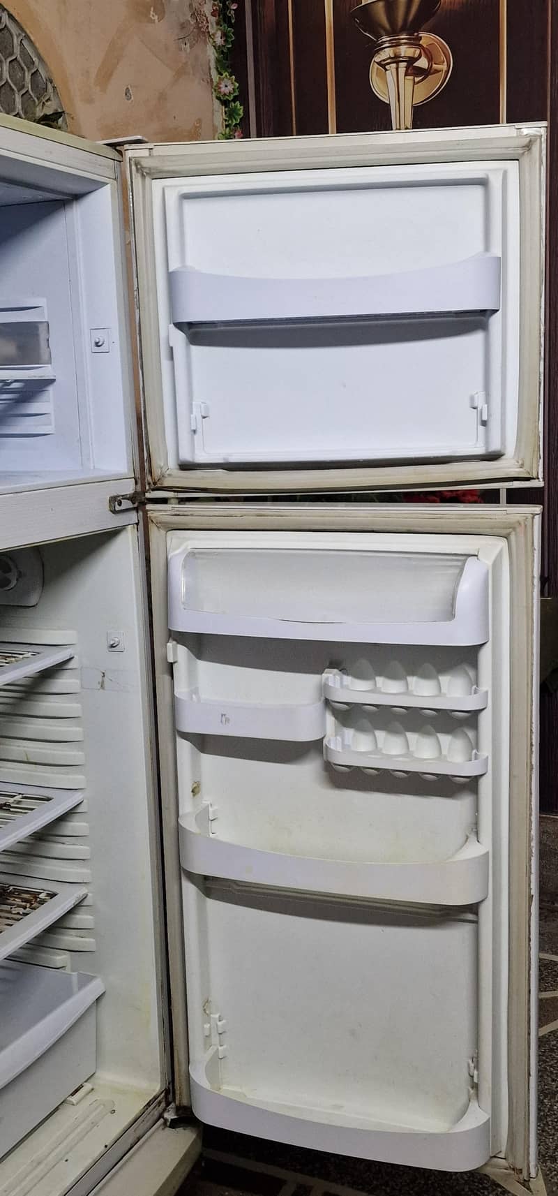 pel fridge 1