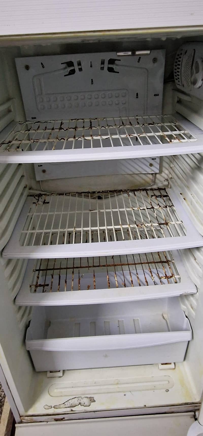 pel fridge 2