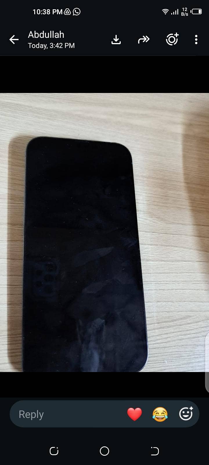 Apple iPhone 13 Pro Max 1