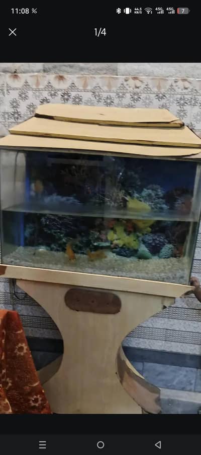 big aquarium with beautiful fishes