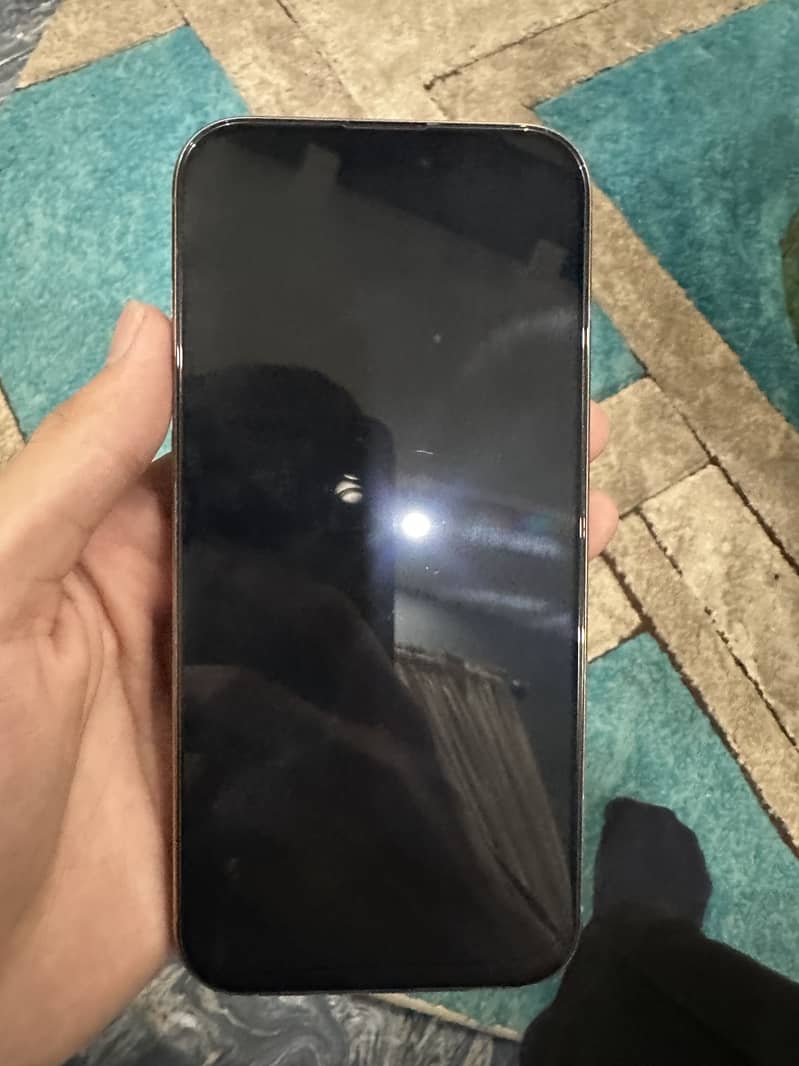 Apple iPhone 16 Pro Max 2