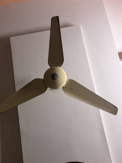 Millat fan pure popper
