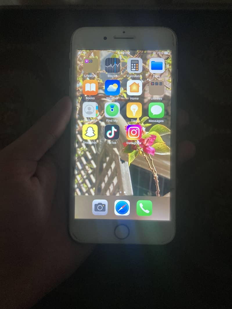 Apple iPhone 8 Plus 3