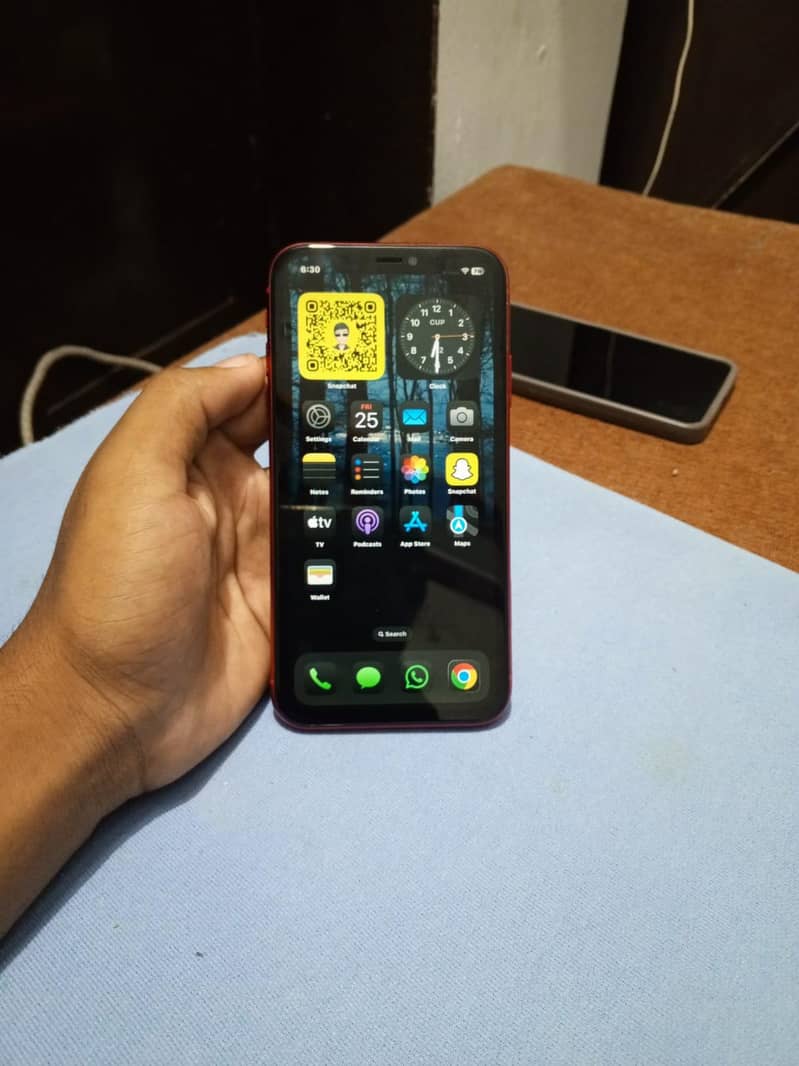 iPhone 11 Mdm 1