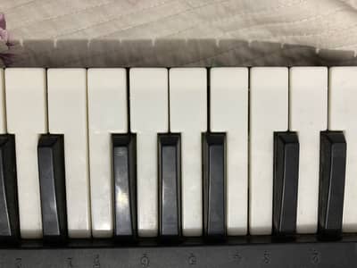 MILES 3738 KEYBOARD PIANO LIKE NEW