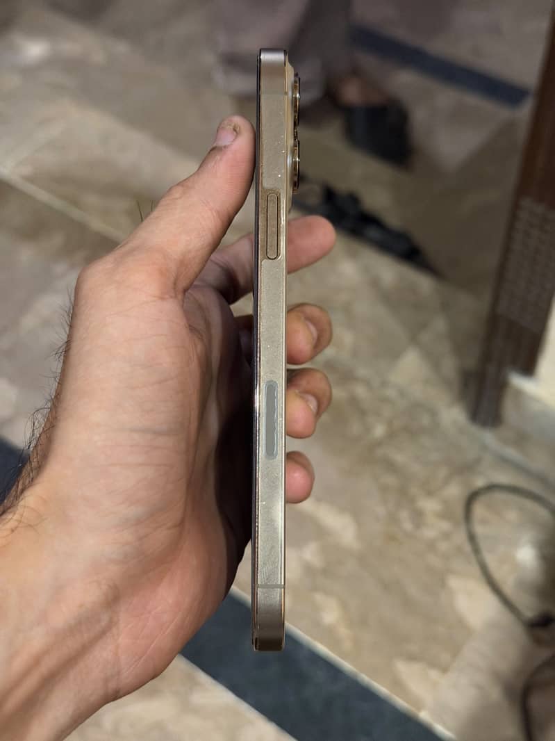 Apple iPhone 13 Pro Max 3