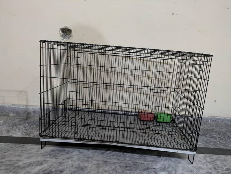 CAGES 1